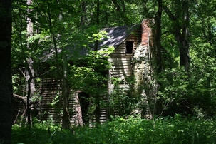An old cabin in the woods.