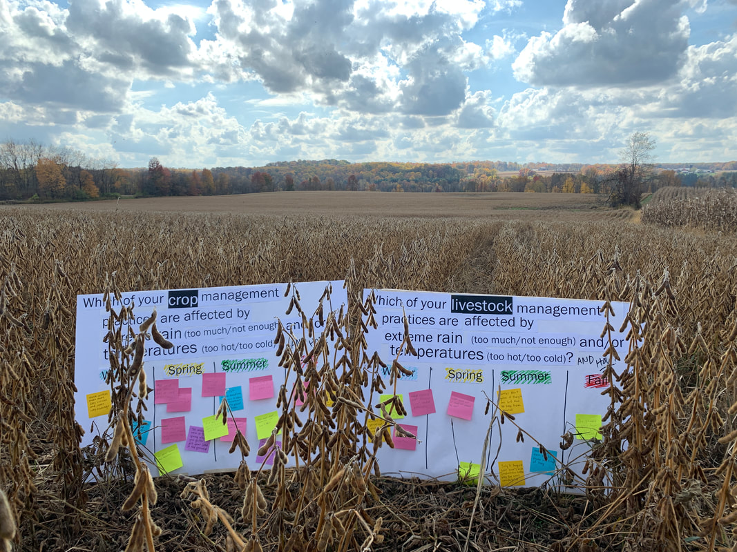 Soybean field in the fall with two poster boards in the field with different climate change questions and brightly colored sticky notes on them.